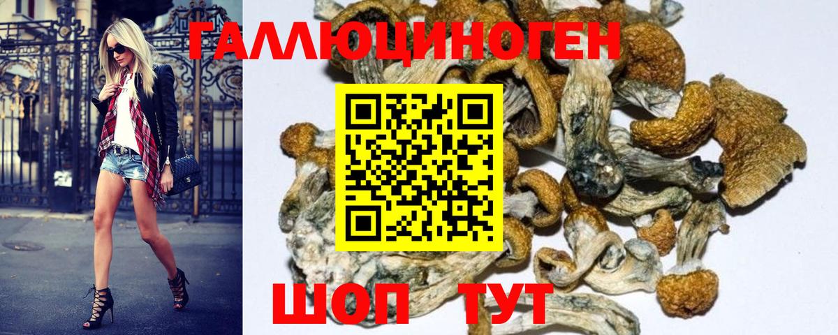 Псилоцибиновые грибы MAGIC MUSHROOMS Гатчина