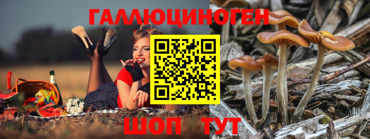 купить   Вход с VPN  Гатчина  Псилоцибиновые грибы MAGIC MUSHROOMS 